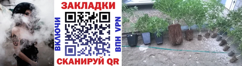 Где купить наркотики Боровск Галлюциногенные грибы Марихуана Меф мяу мяу ГАШ КОКАИН