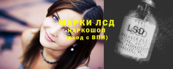 ПСИЛОЦИБИНОВЫЕ ГРИБЫ Арсеньев
