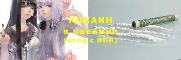 ПСИЛОЦИБИНОВЫЕ ГРИБЫ Арсеньев
